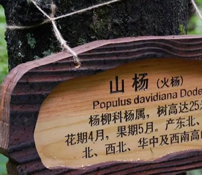 景區標識牌的樣式都有哪些,旅游景區標識牌樣式